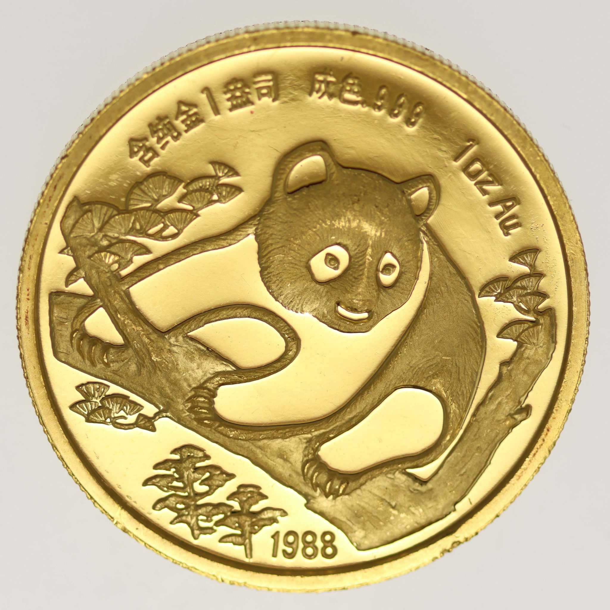 China Panda 1 Unze 1988 Coin Show Munich