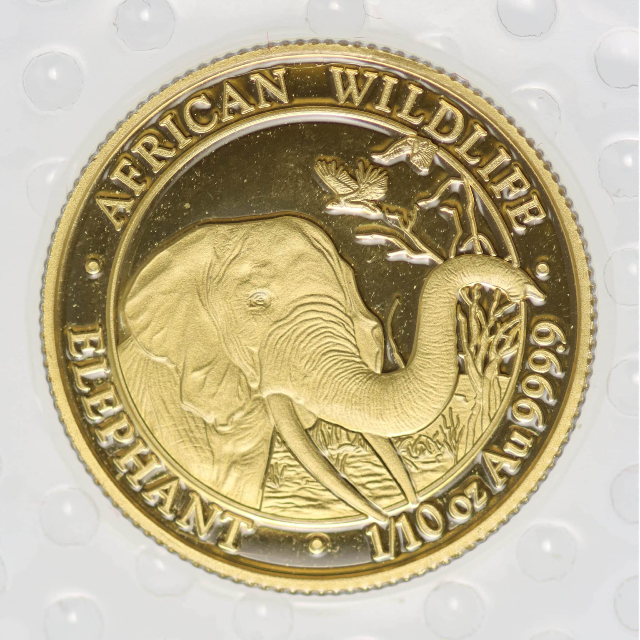 Somalia African Wildlife 100 Shillings 2018 Elephant
