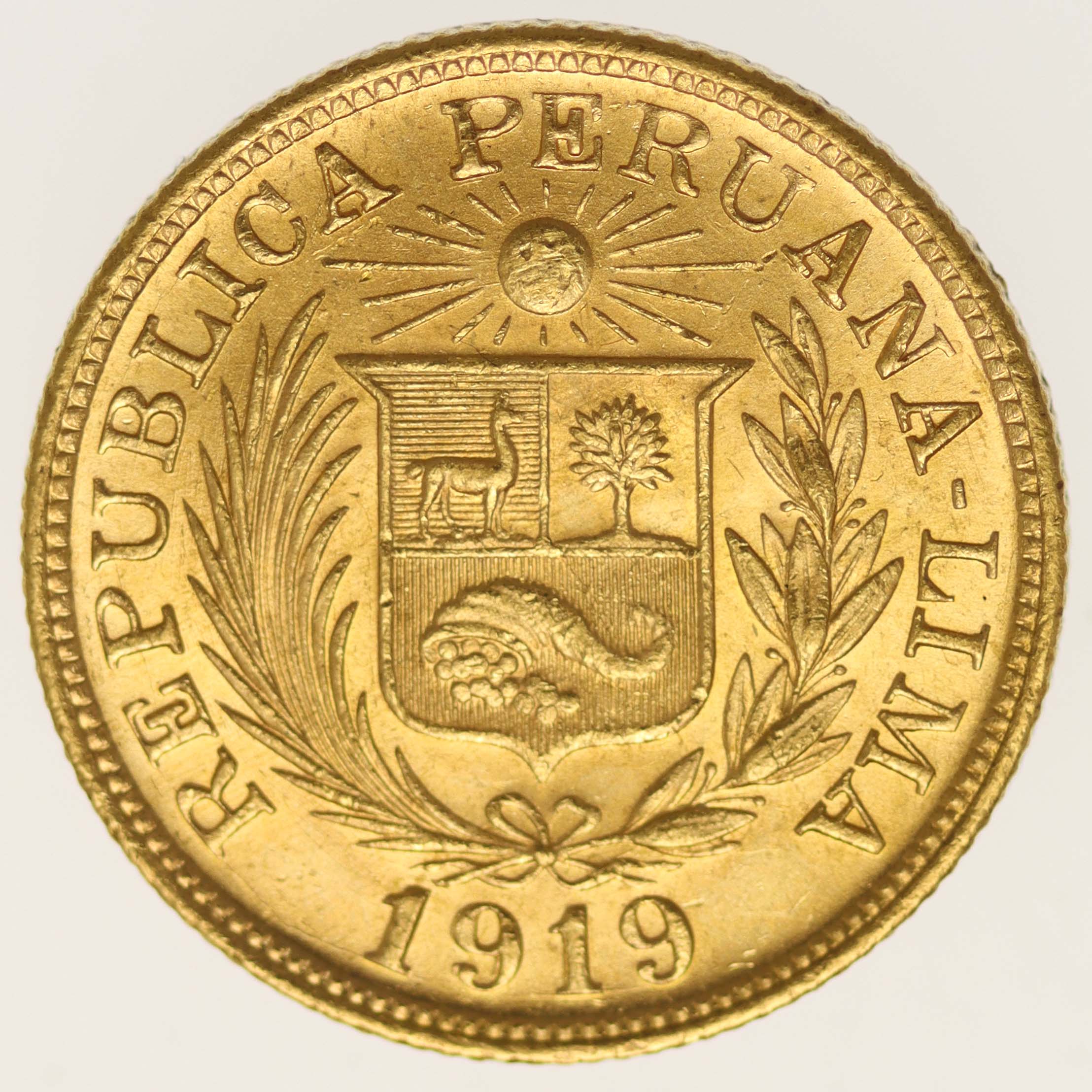 Peru Libra 1919
