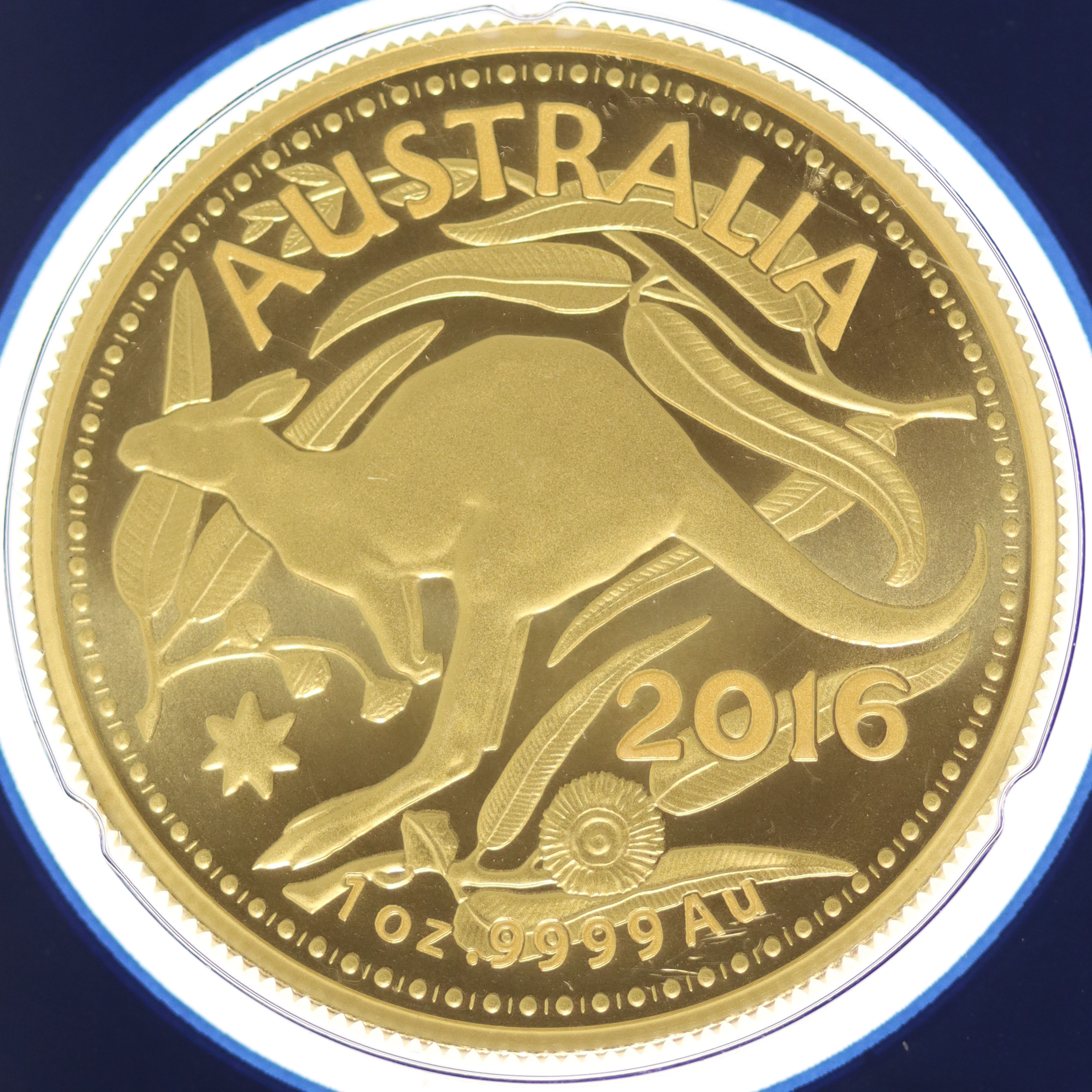 Australien 100 Dollars 2016 Kangaroo