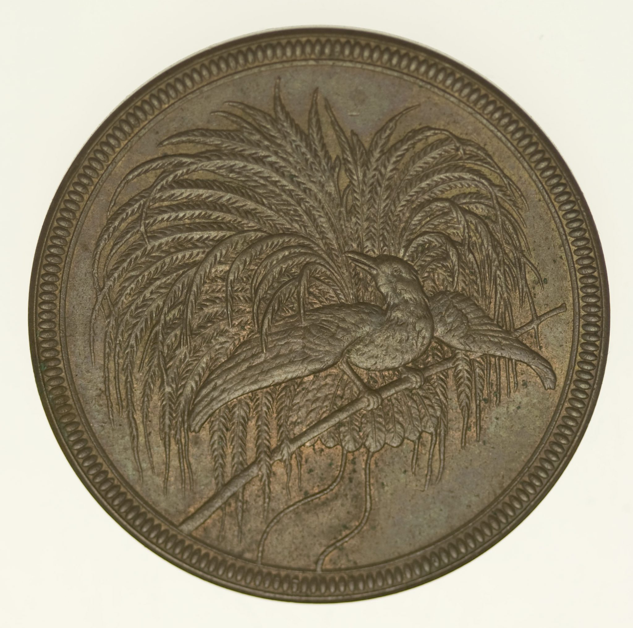 Deutsch Neu Guinea Wilhelm II. 10 Pfennig 1894