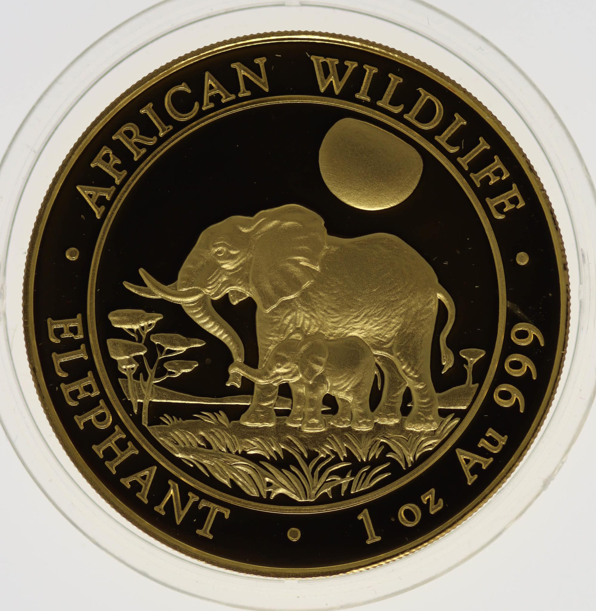 Somalia African Wildlife 1.000 Shillings 2011 Elephant