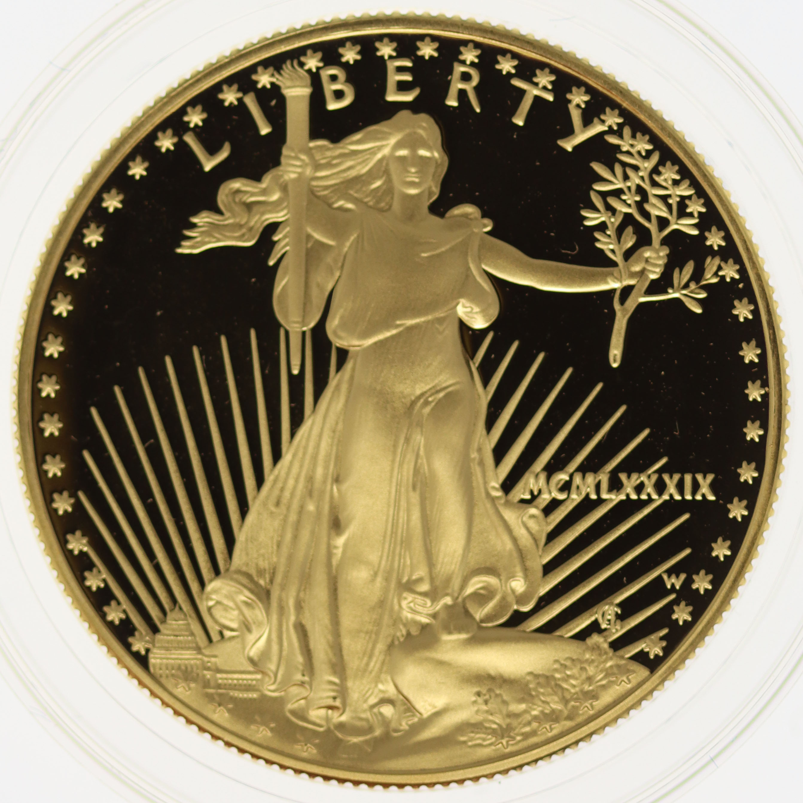 USA 50 Dollars 1989 American Eagle proof
