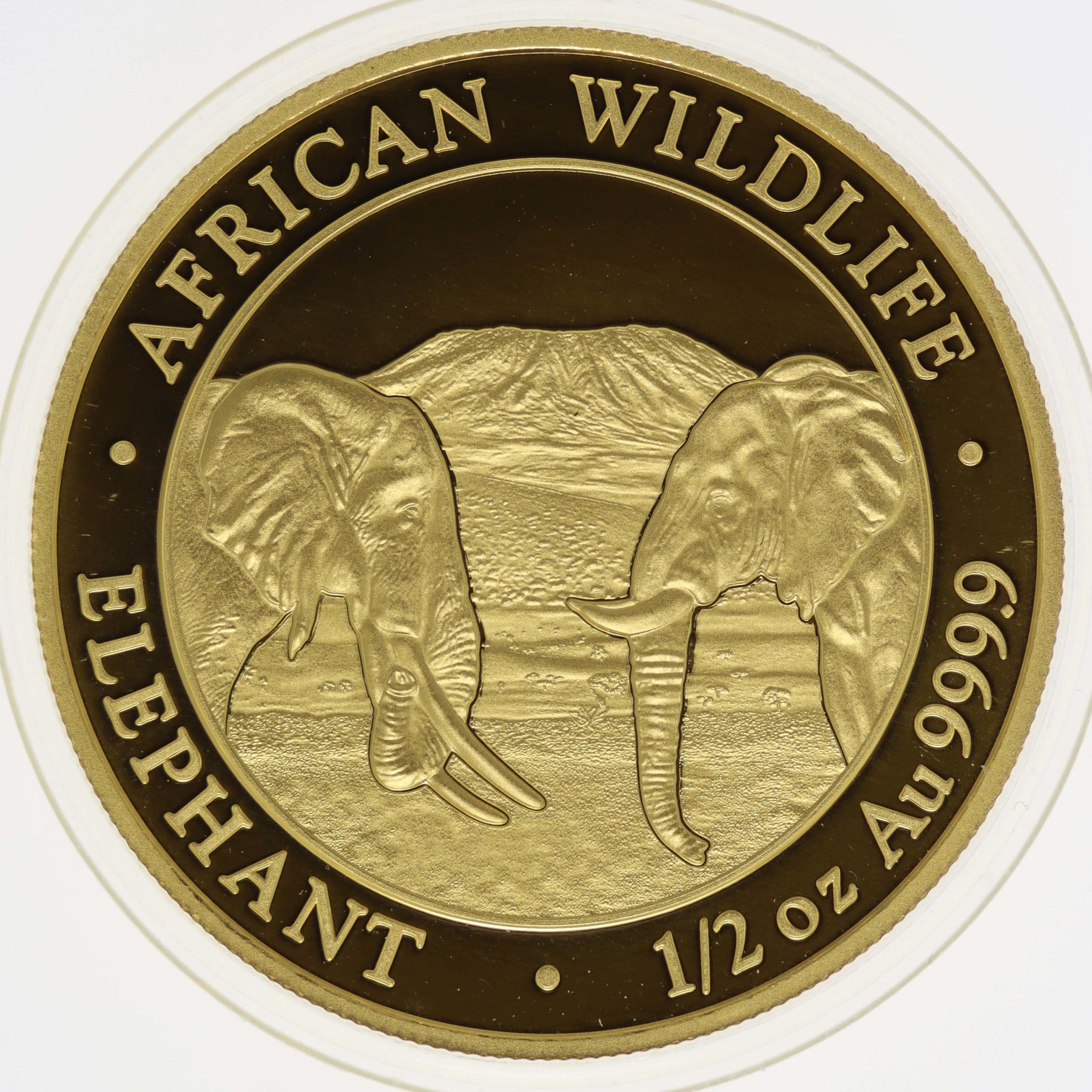 Somalia 500 Shillings 2020 African Wildlife Elephant