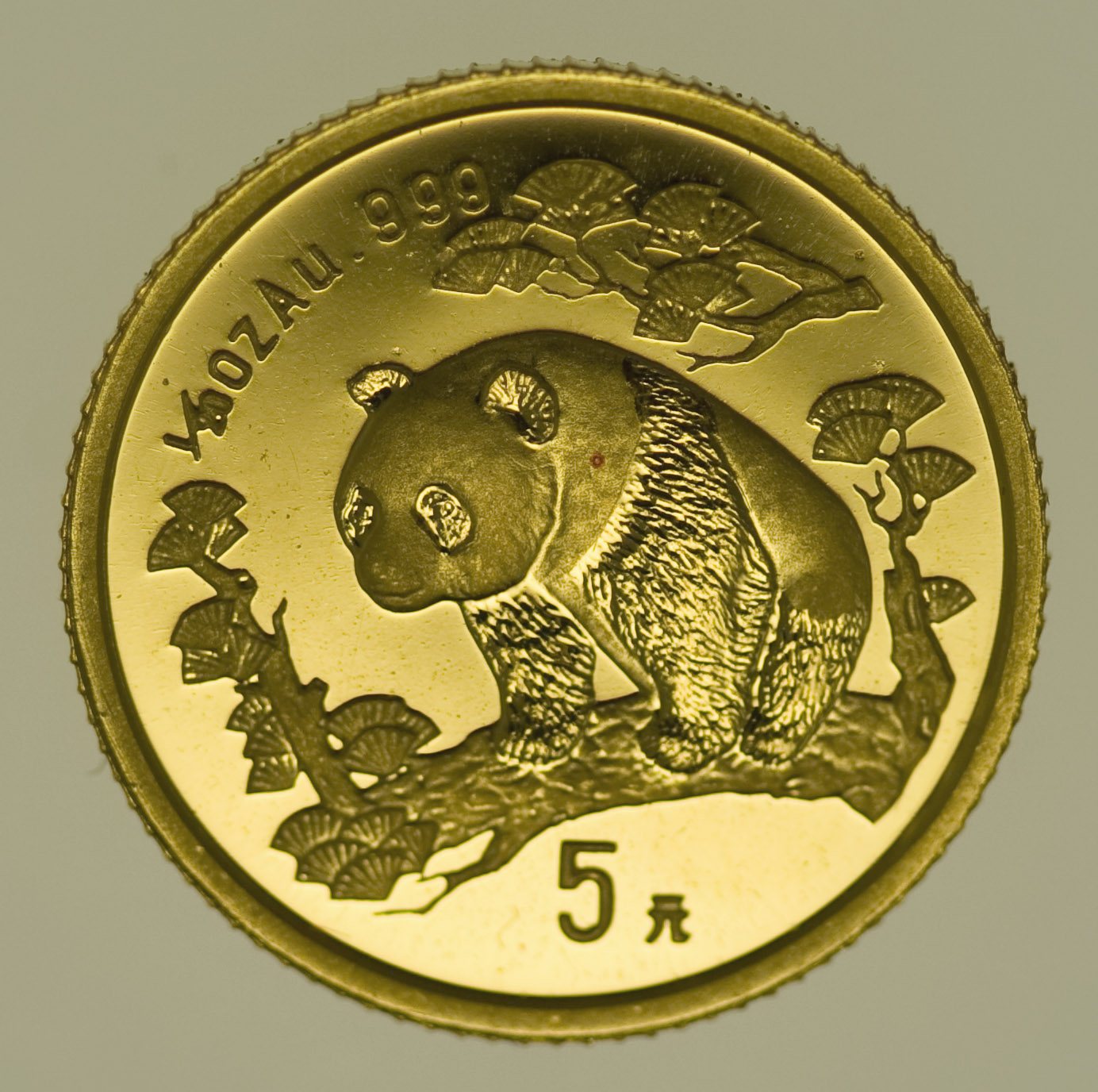 China Panda 5 Yuan 1997 1/20 Unze