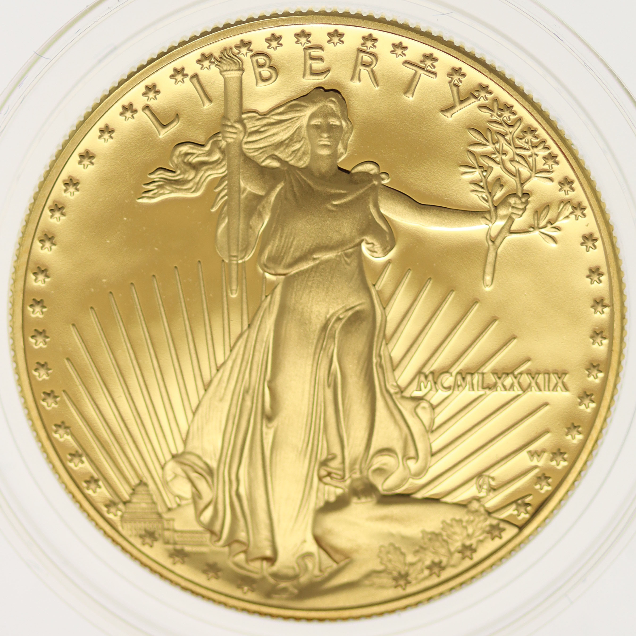 USA 50 Dollars 1989 American Eagle proof