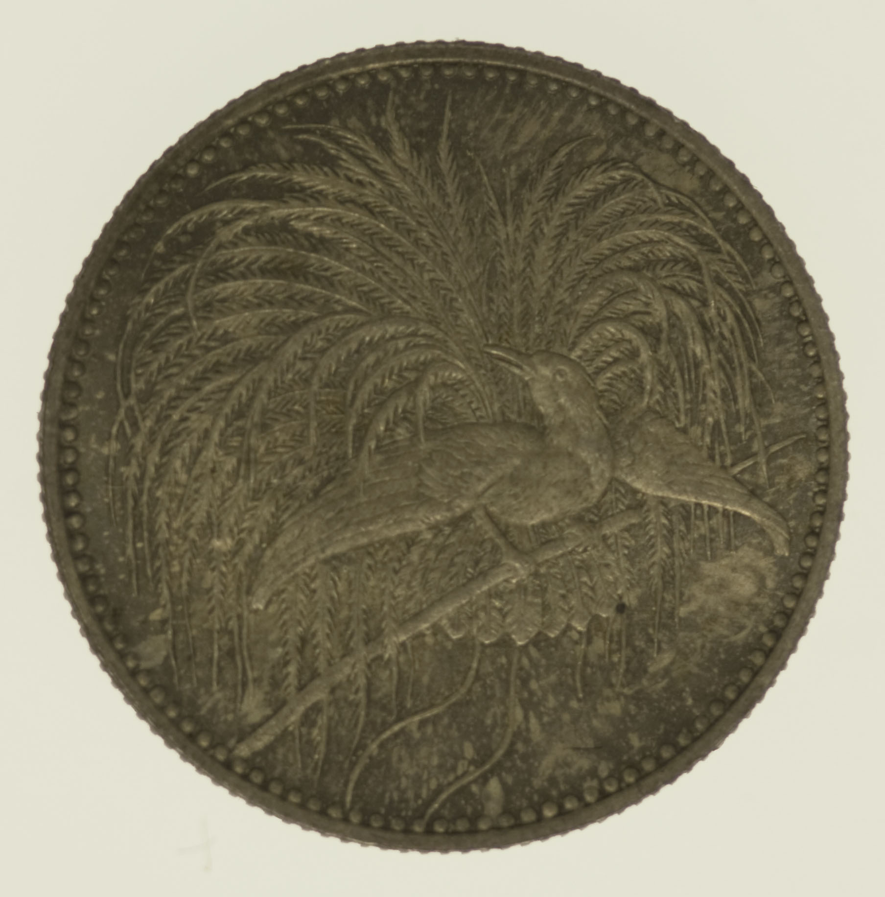Deutsch Neu Guinea Wilhelm II. 1/2 Mark 1894