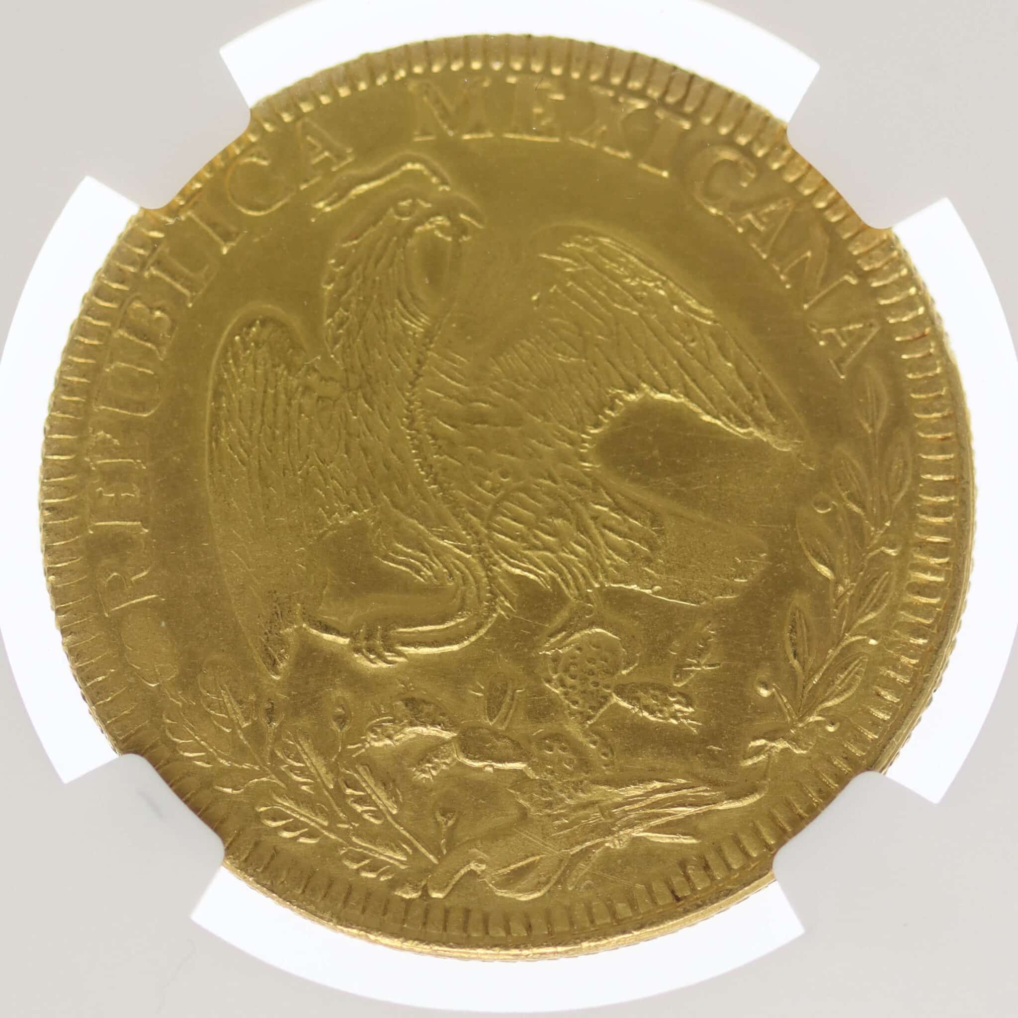 Mexiko Republik 8 Escudos 1838