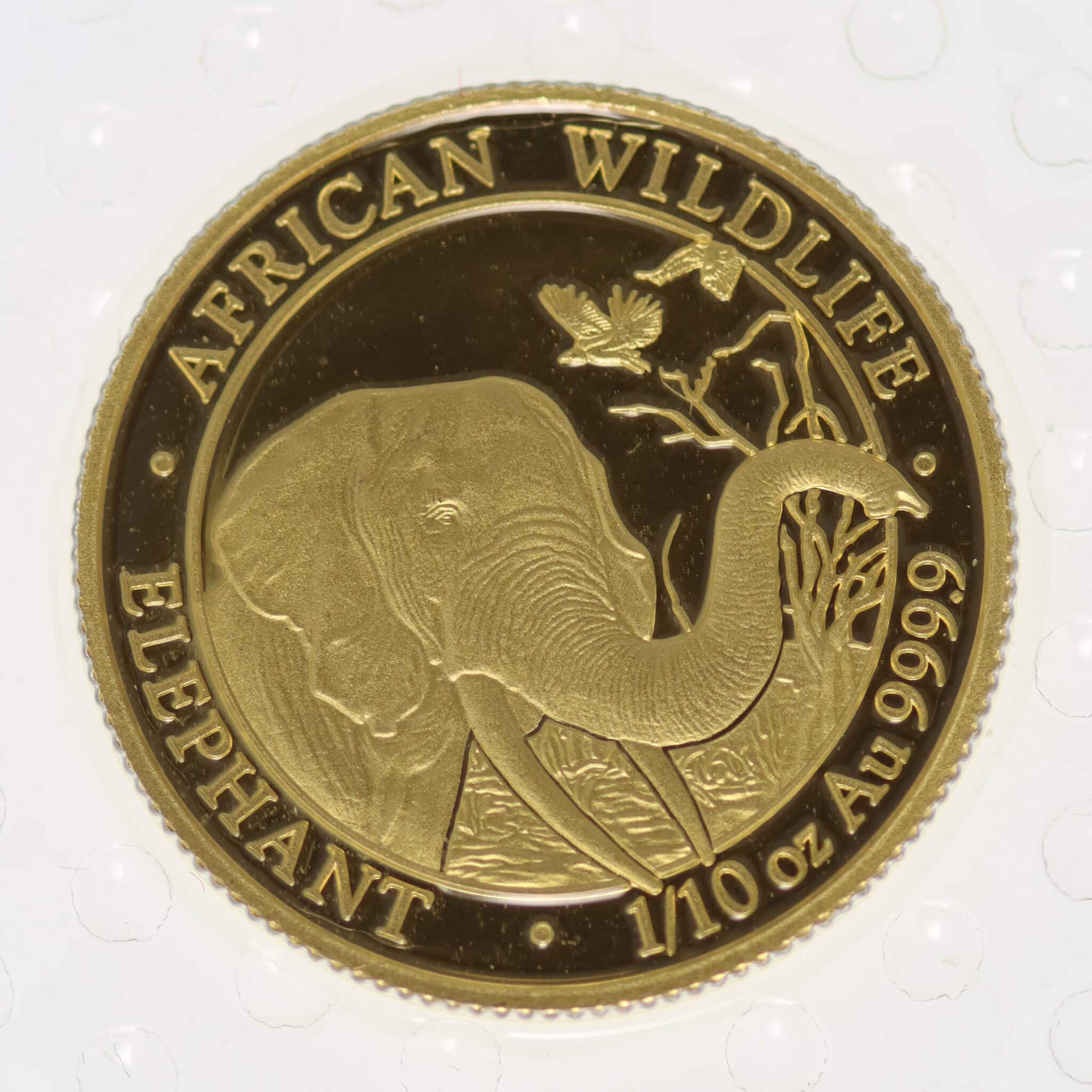 Somalia African Wildlife 100 Shillings 2018 Elephant