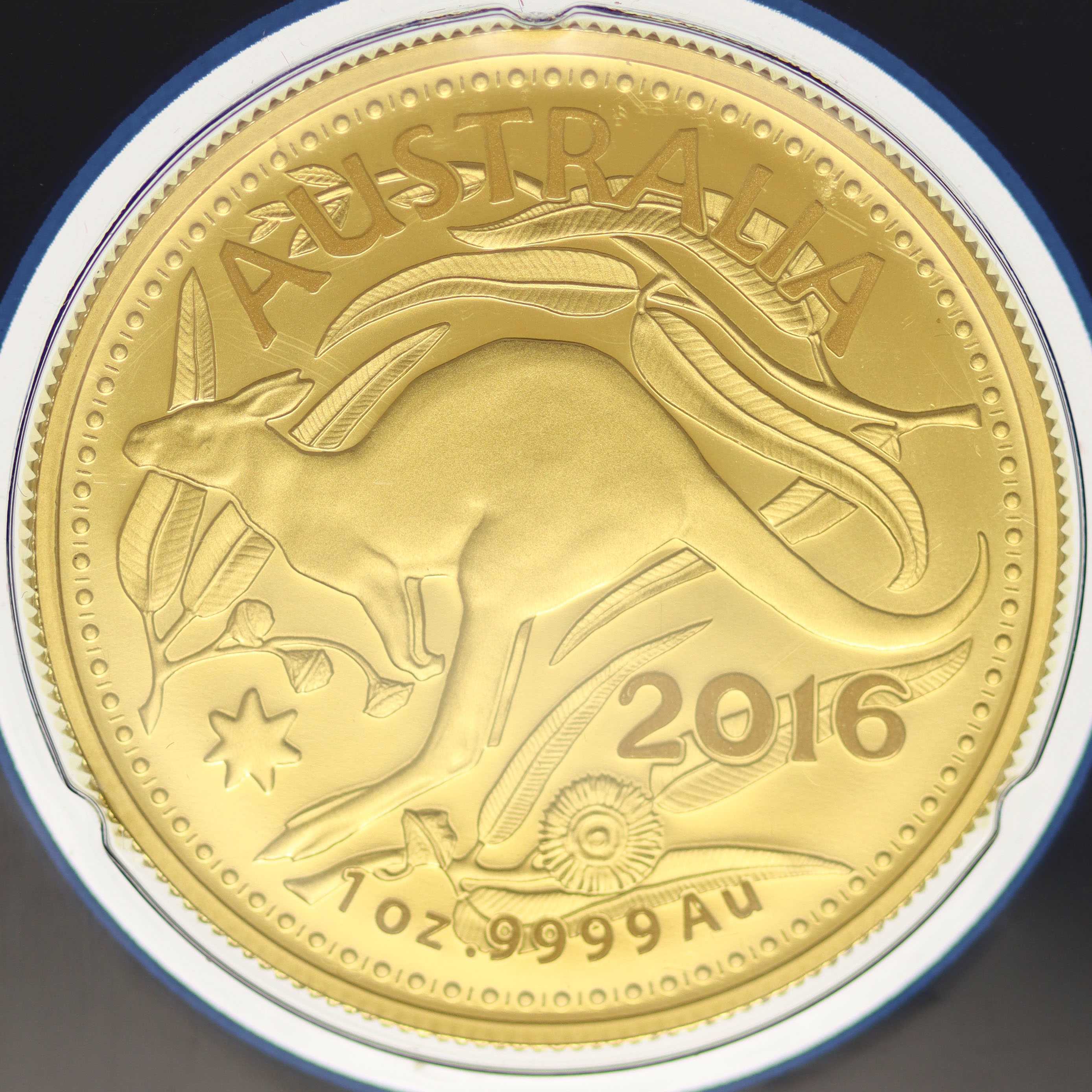 Australien 100 Dollars 2016 Kangaroo
