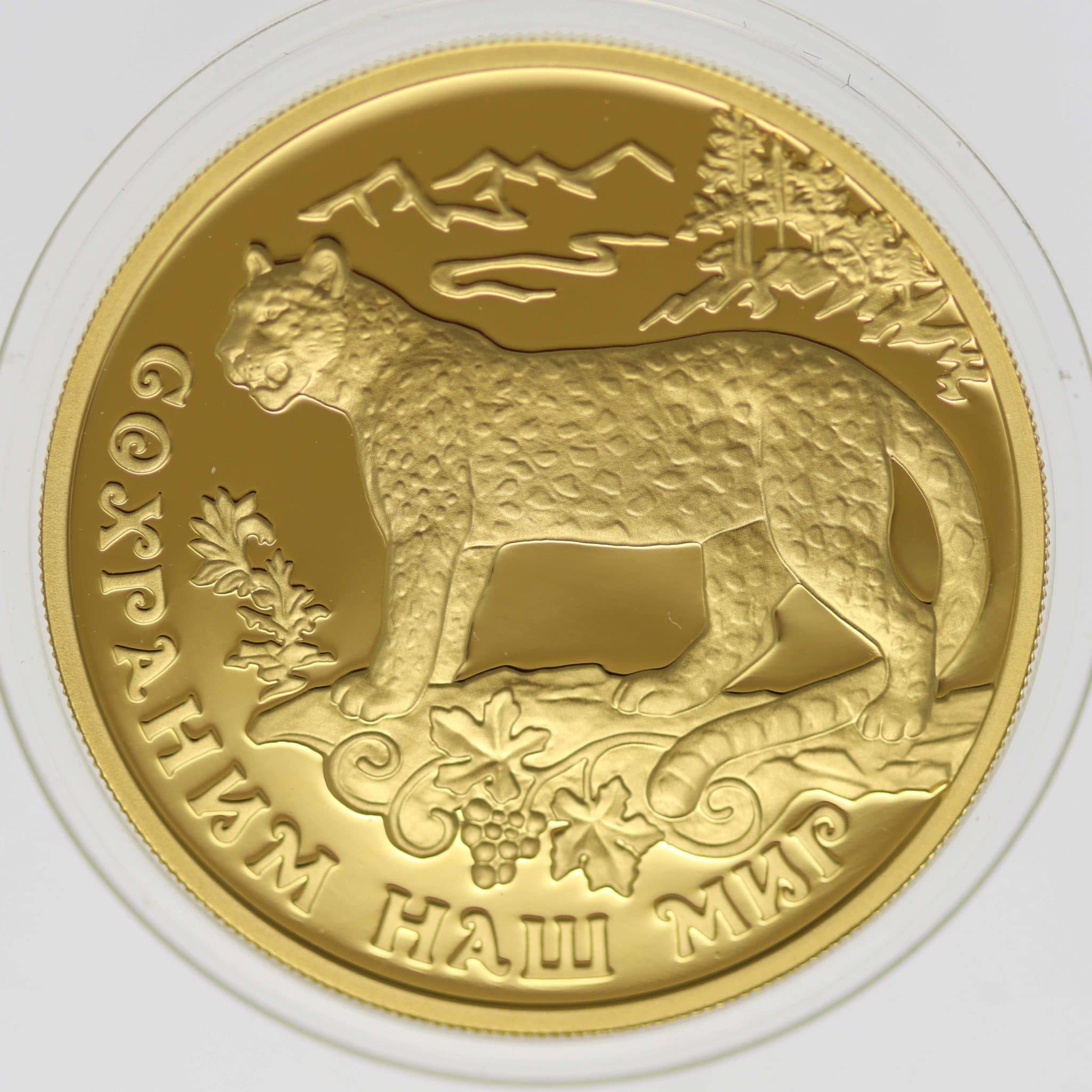 Russland 100 Rubel 2011