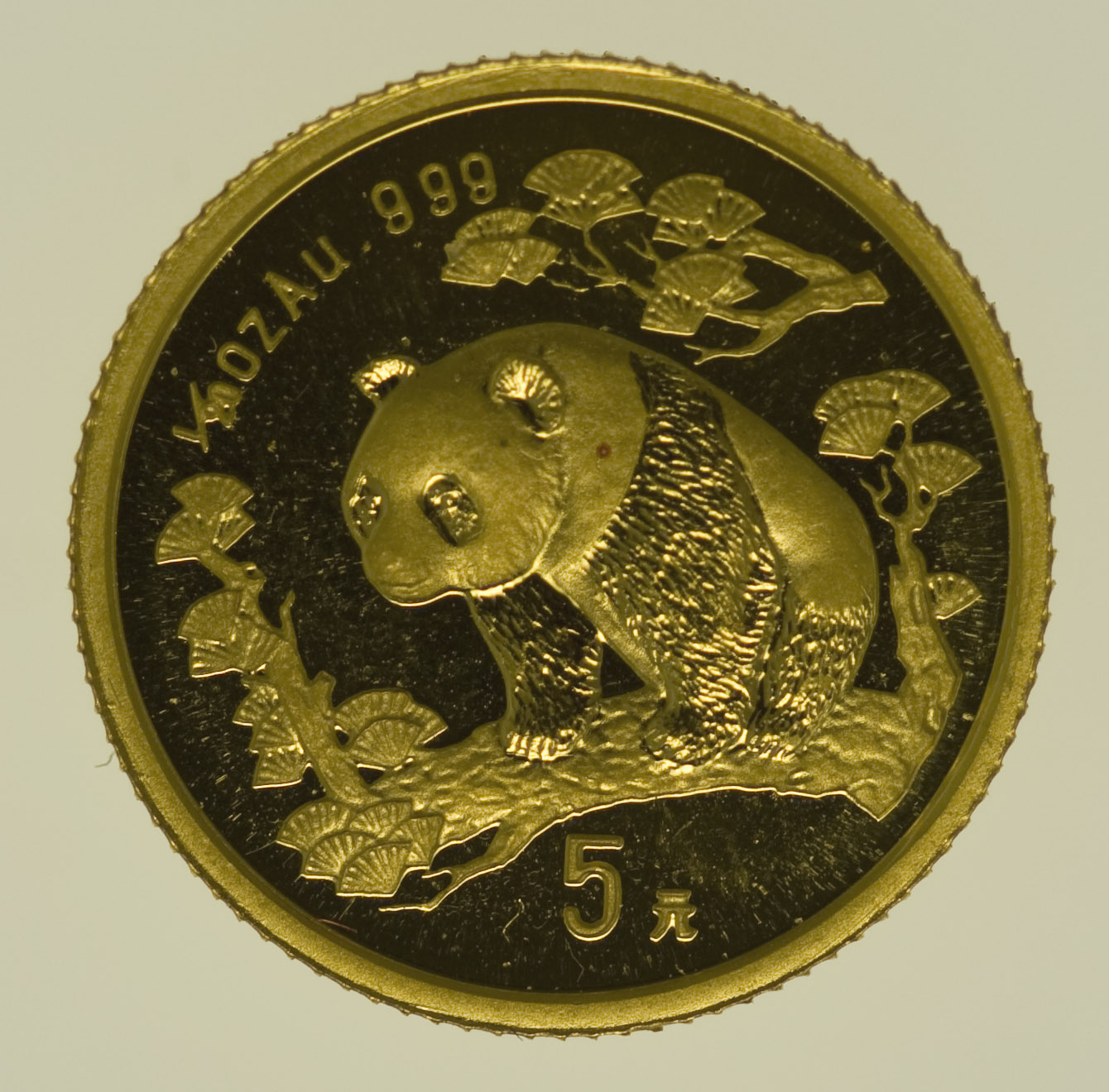 China Panda 5 Yuan 1997 1/20 Unze