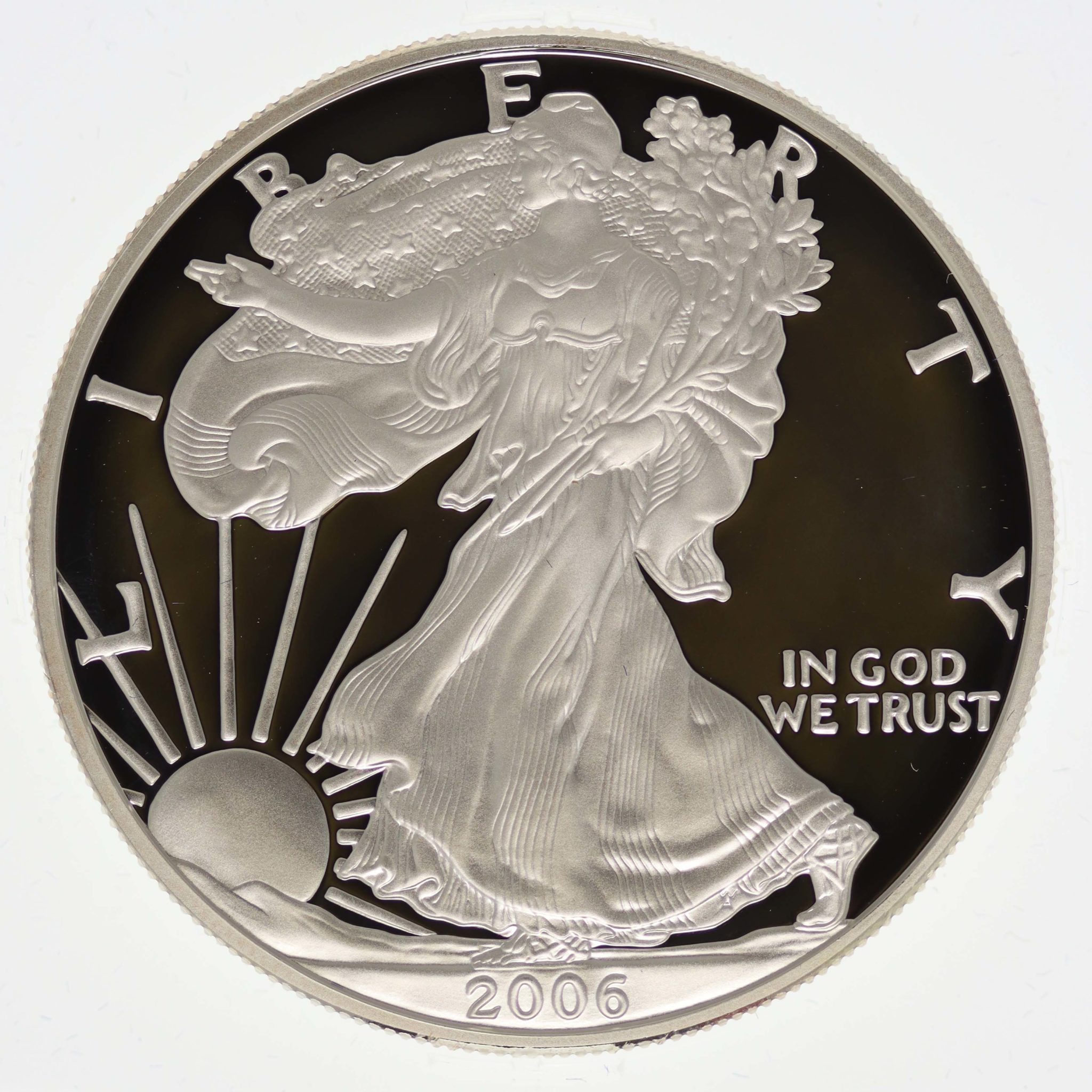 USA Dollar 2006 American Eagle