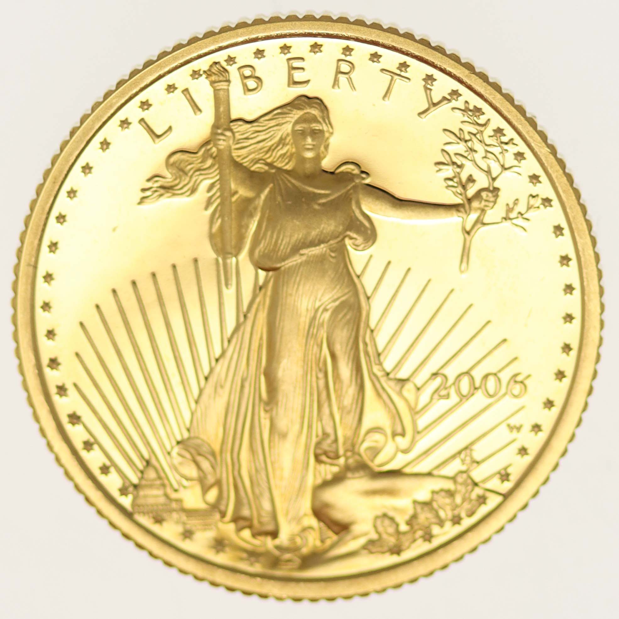 USA 10 Dollars 2006 American Eagle proof