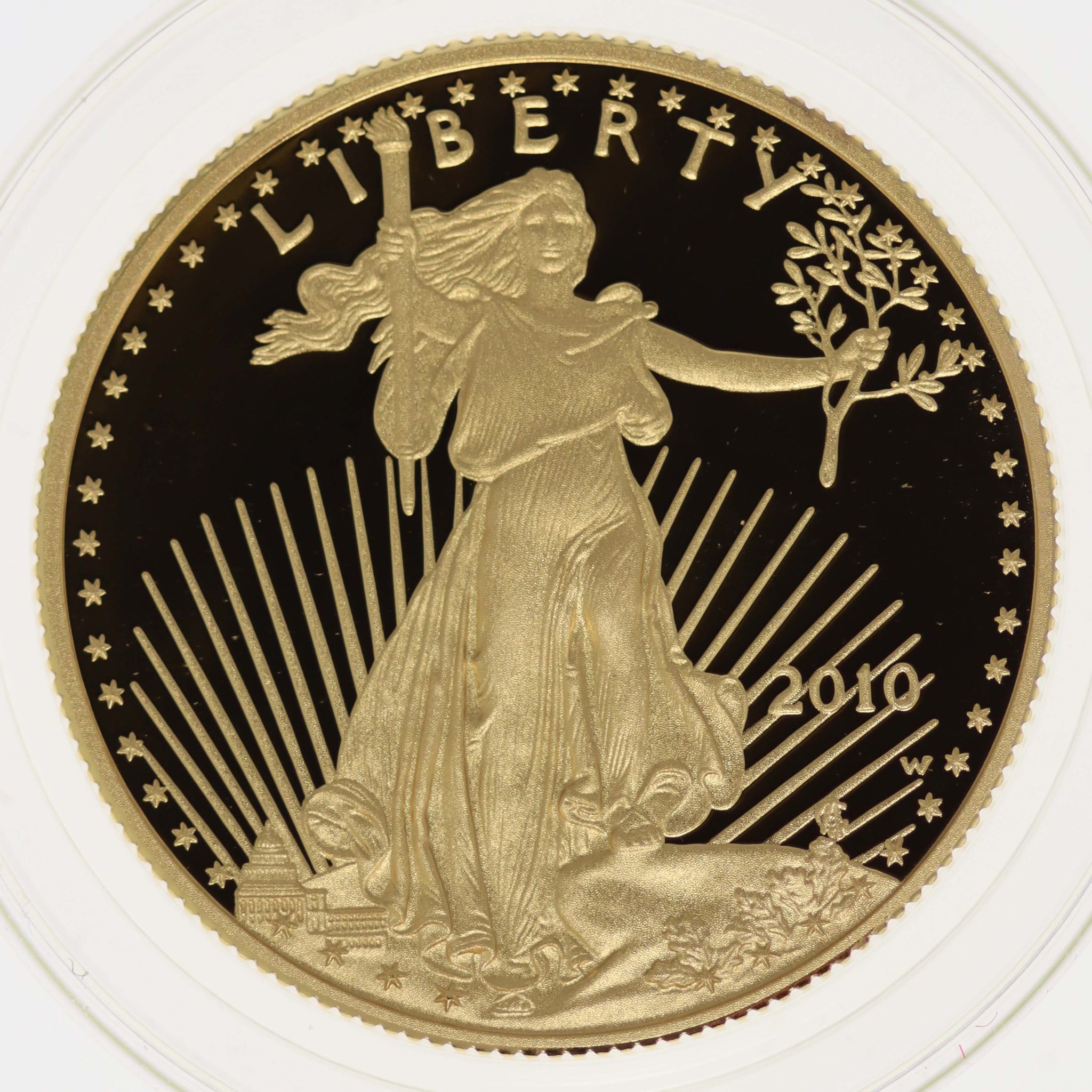 USA 25 Dollars 2010 American Eagle Proof