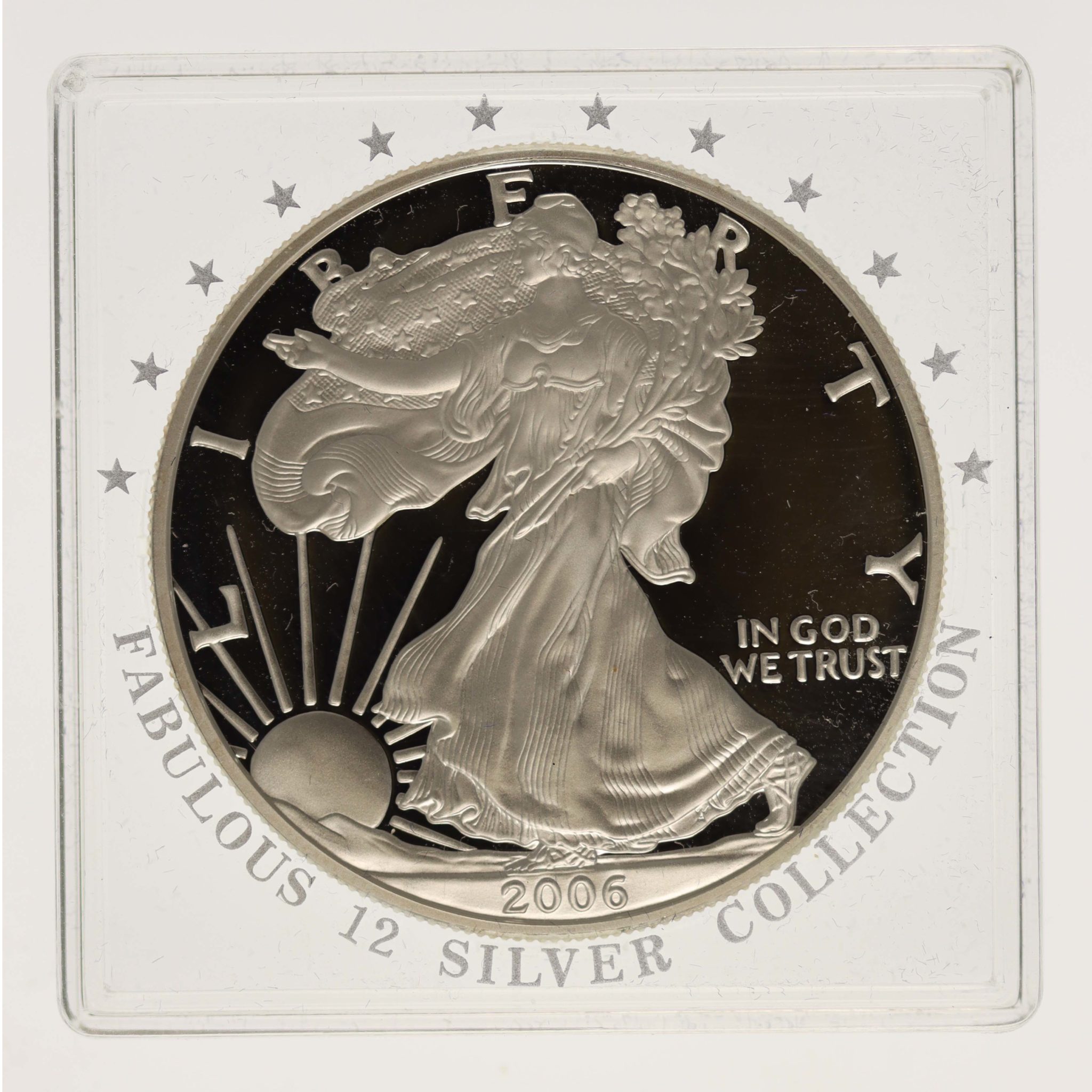 USA Dollar 2006 American Eagle