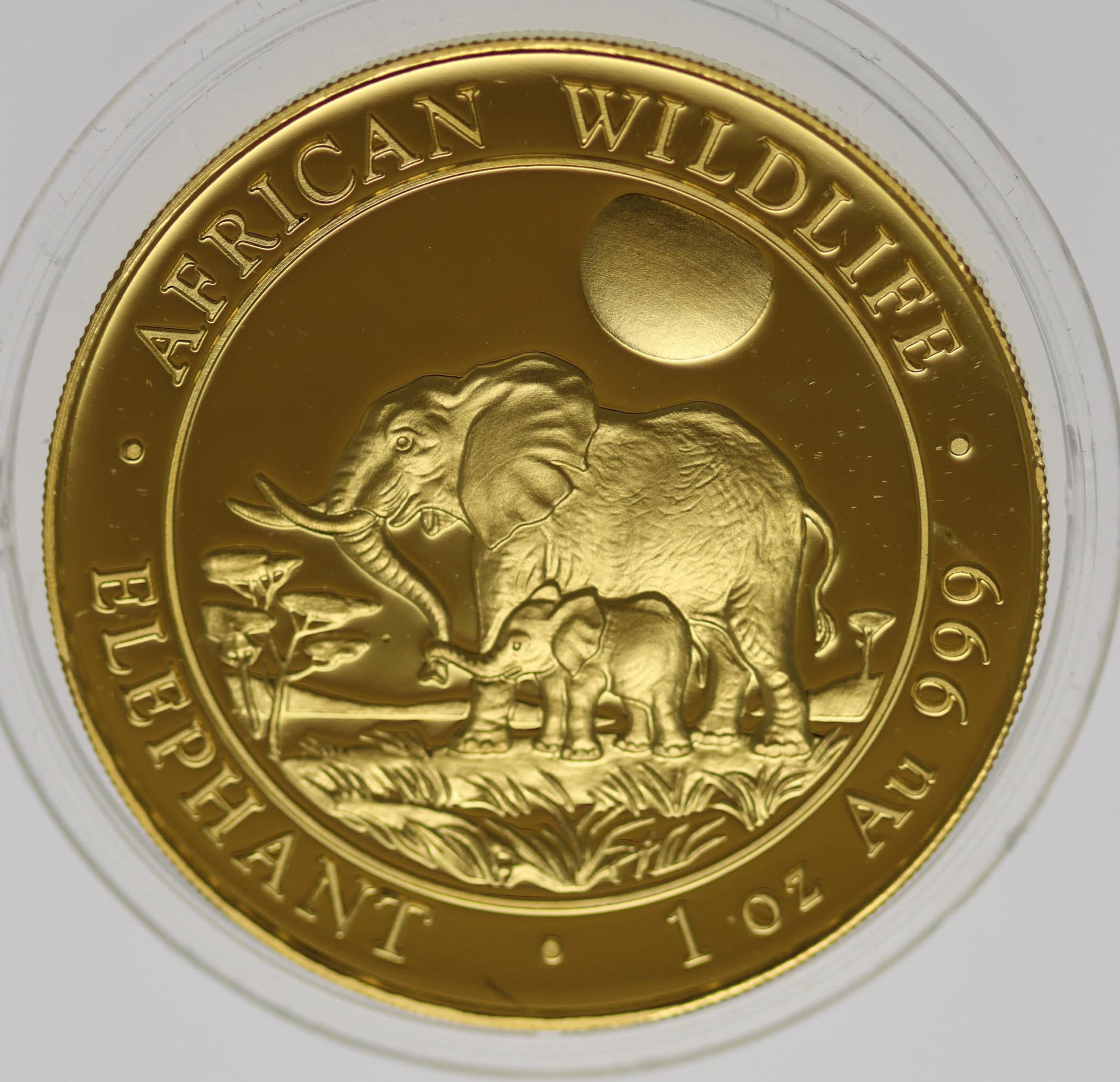 Somalia African Wildlife 1.000 Shillings 2011 Elephant