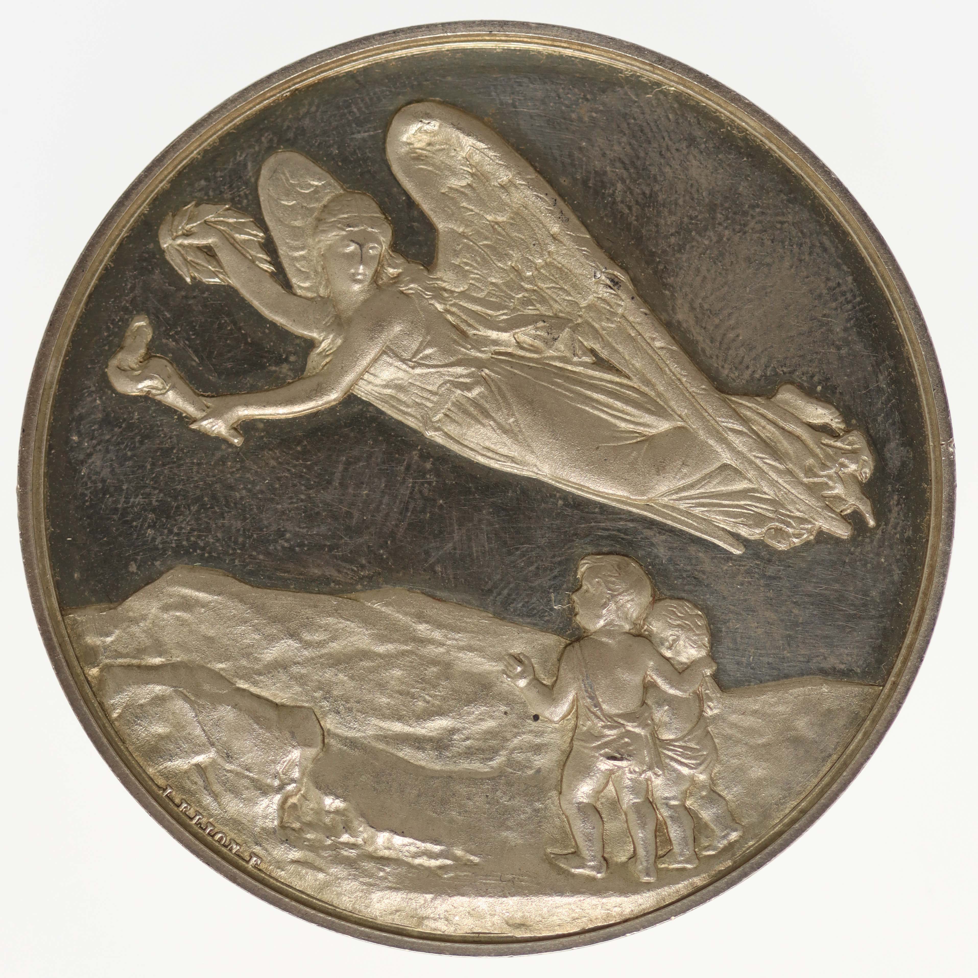 Niederlande Silbermedaille 1873