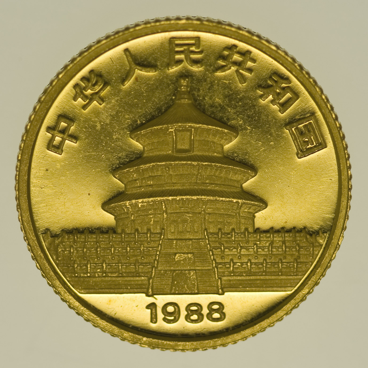 China Panda 10 Yuan 1988 1/10 Unze