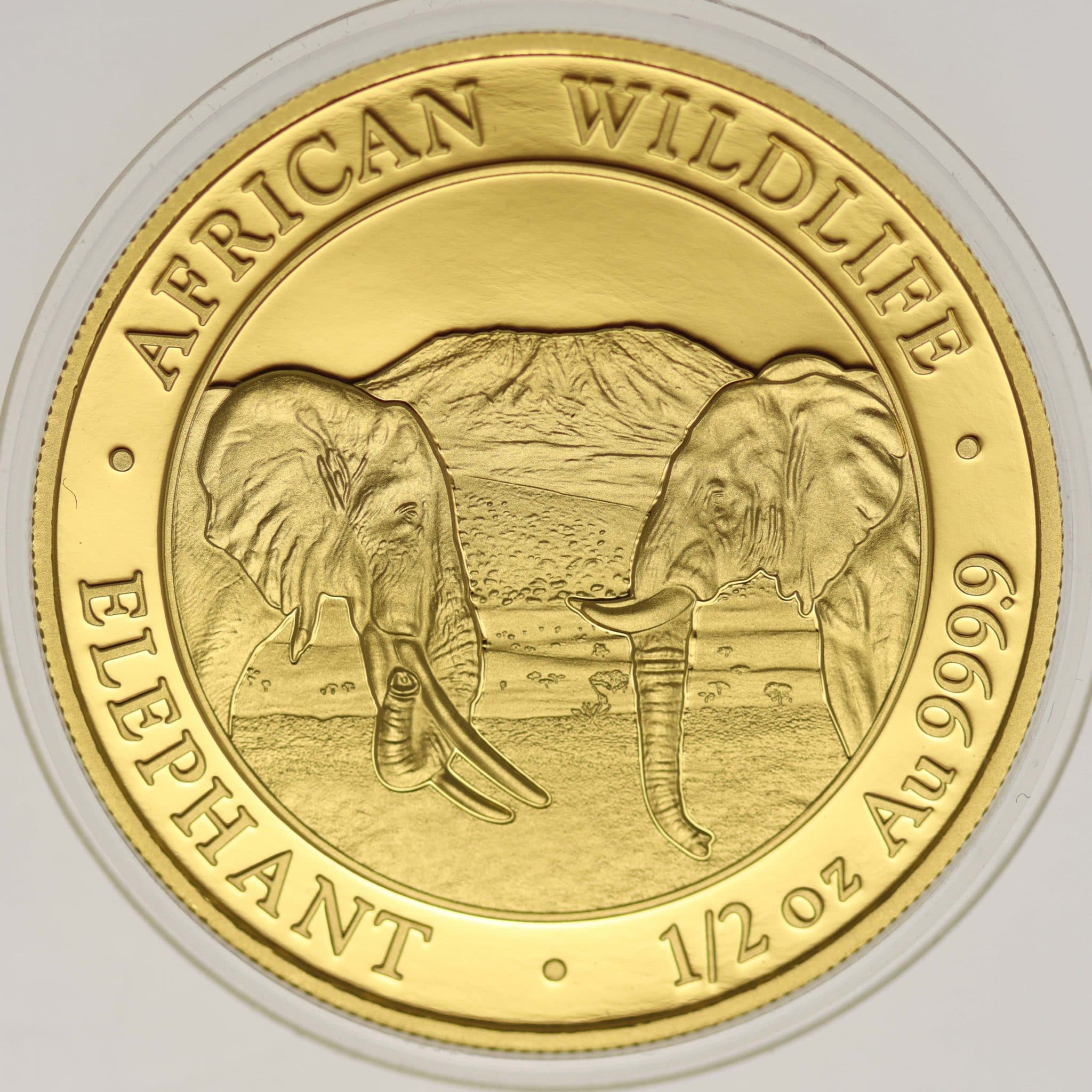 Somalia 500 Shillings 2020 African Wildlife Elephant