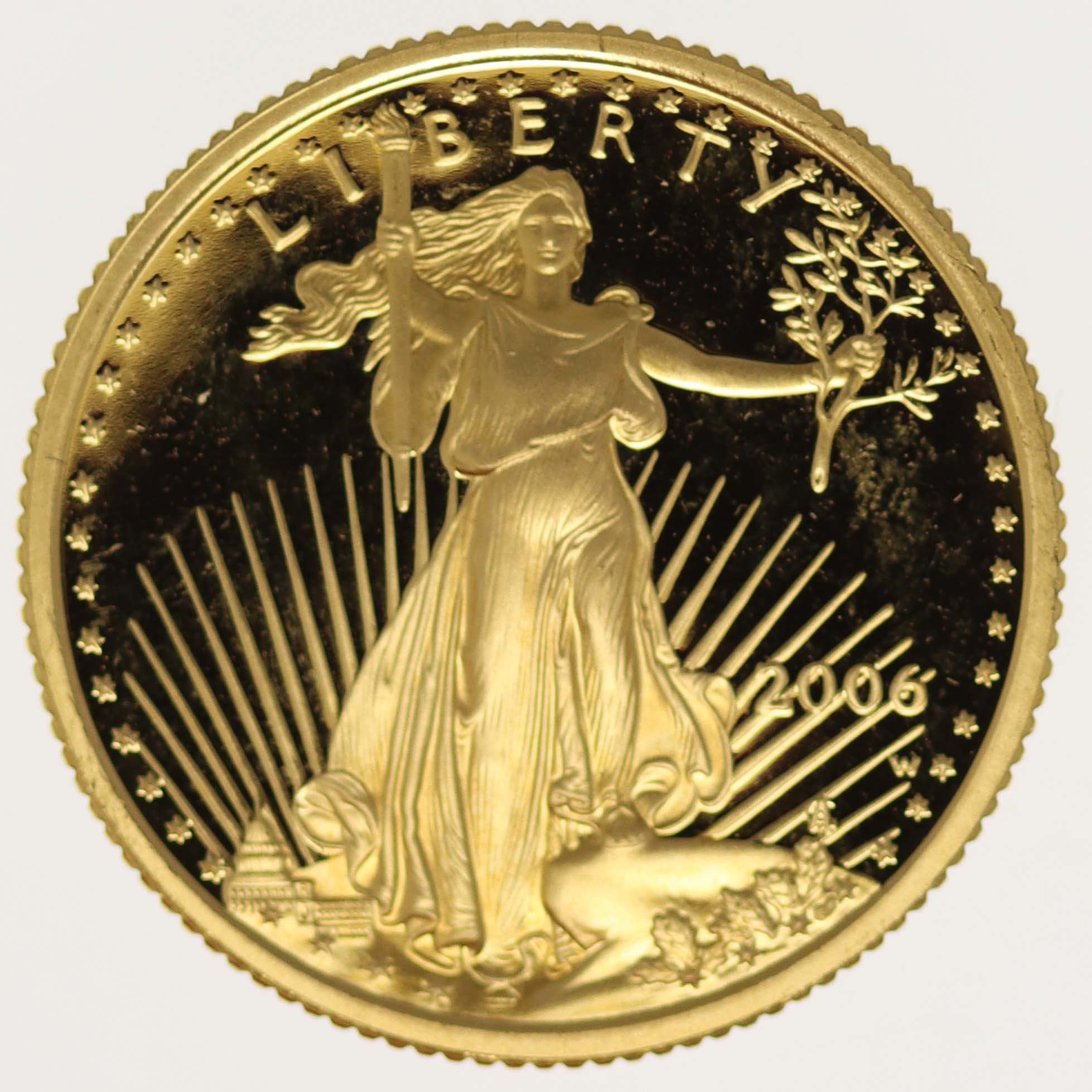 USA 10 Dollars 2006 American Eagle proof