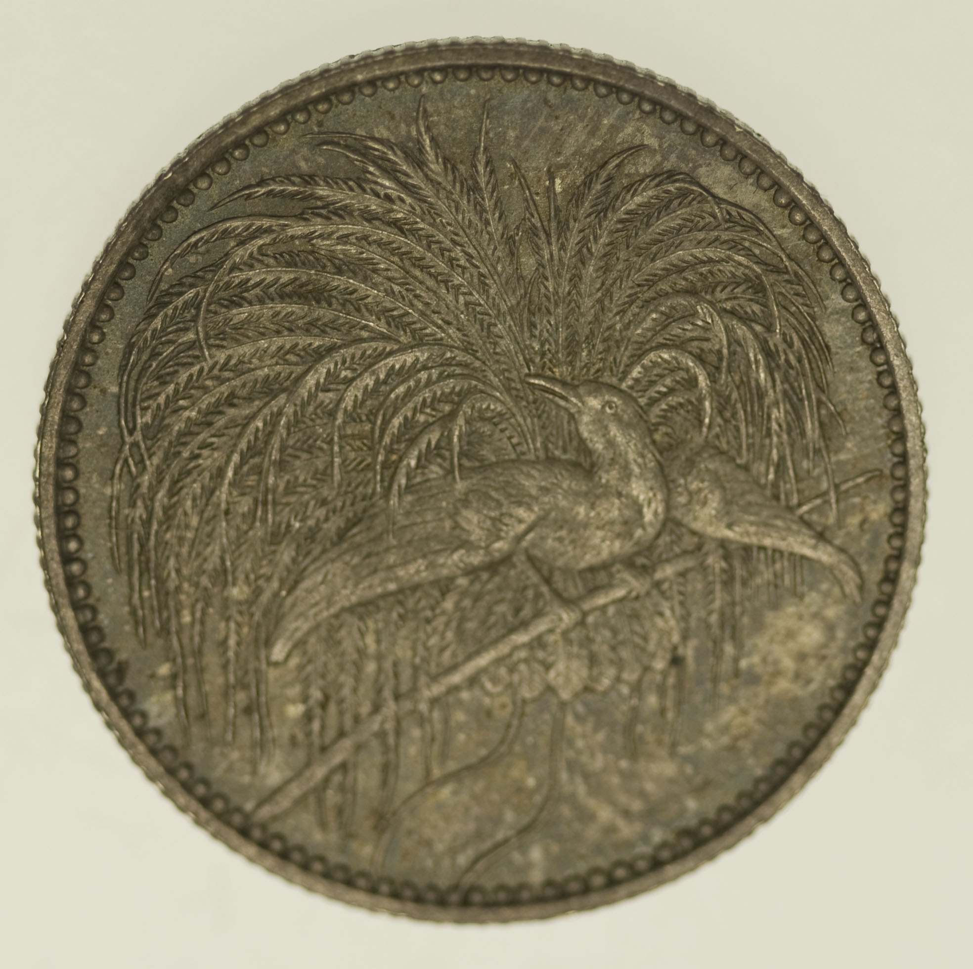Deutsch Neu Guinea Wilhelm II. 1/2 Mark 1894