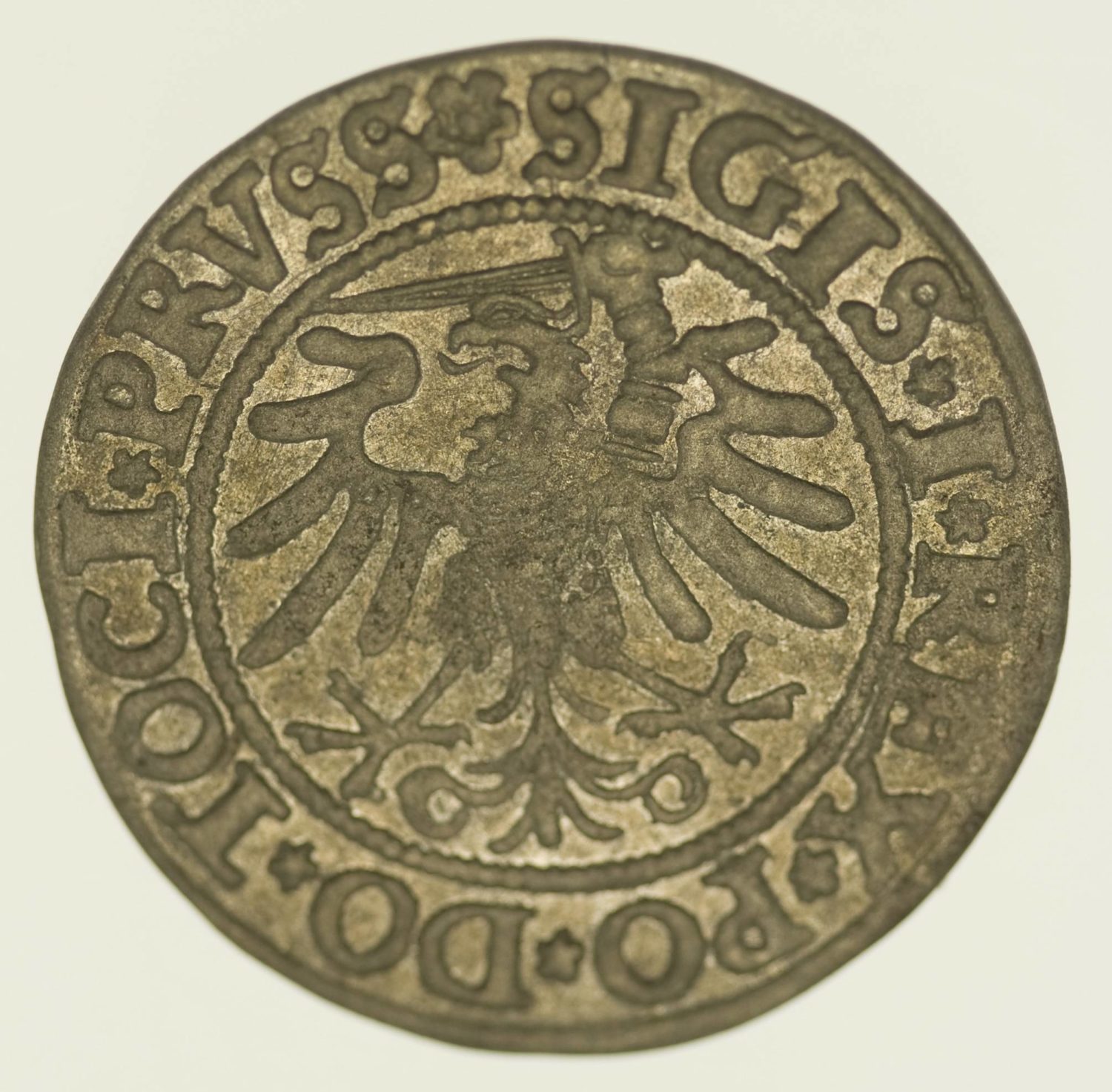 Polen Elbing Groschen 1533 Silber 2,16 Gramm brutto RAR