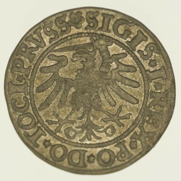 Polen Elbing Groschen 1533 Silber 2,16 Gramm brutto RAR