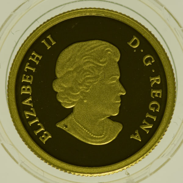 kanada - Kanada Elisabeth II. 5 Dollars Cougar 2014
