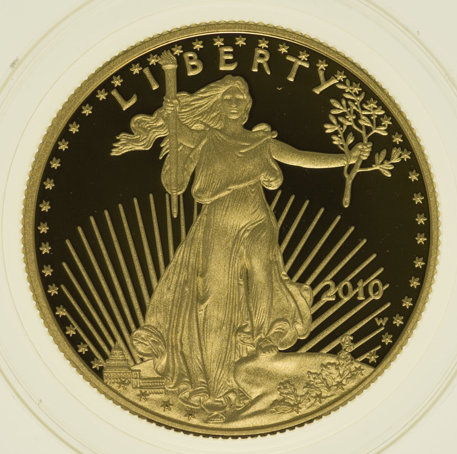 proaurum-usa_american_eagle_25_dollars_2010_4569_1