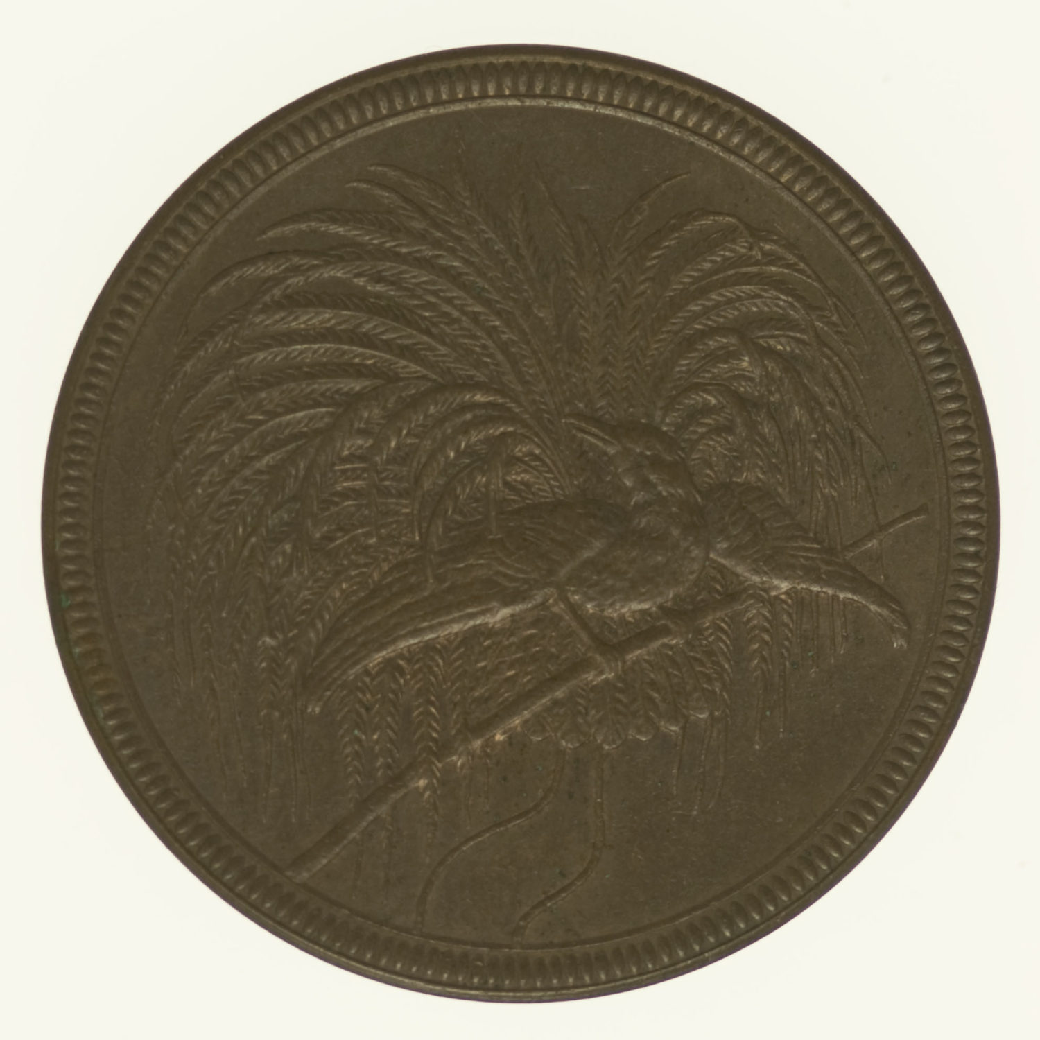 proaurum-deutsch_neu_guinea_10_pfennig_1894_4777_2