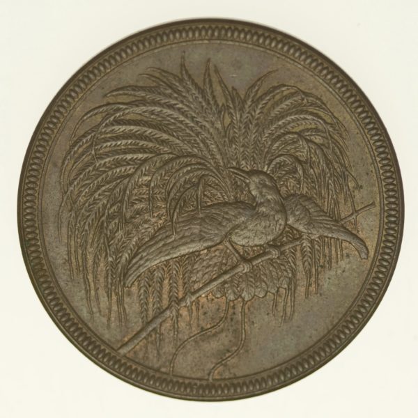 deutsche-kolonien-deutsche-silbermuenzen - Deutsch Neu Guinea Wilhelm II. 10 Pfennig 1894