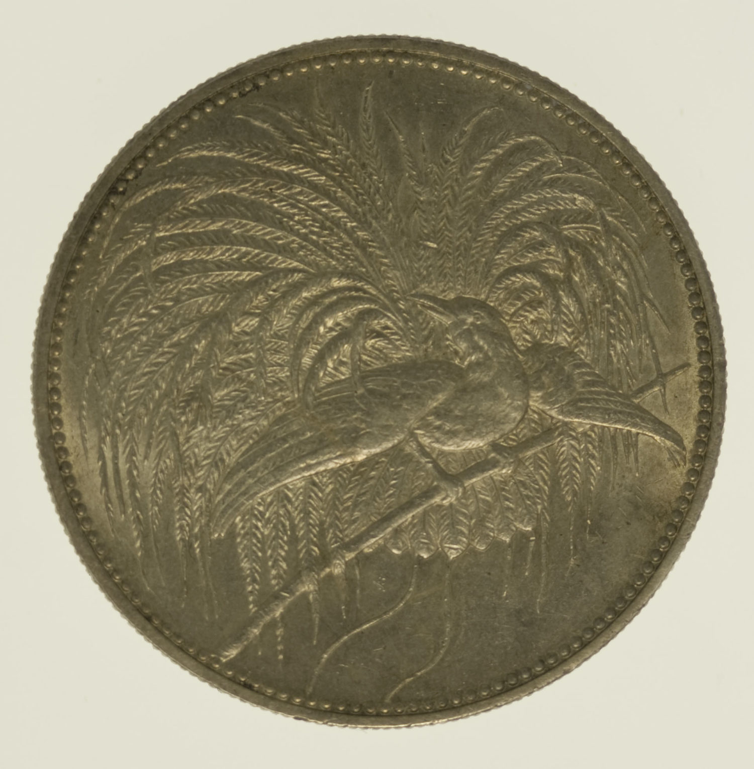 proaurum-deutsch_neu_guinea_5_mark_1894_4788_2