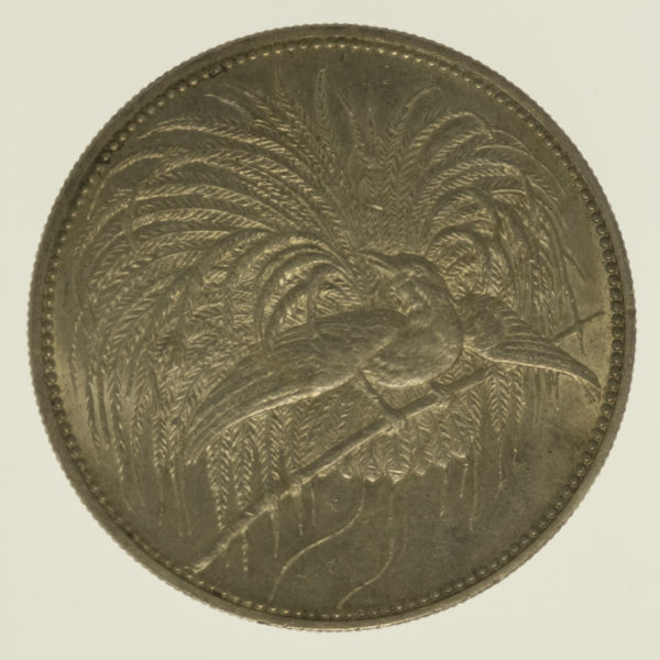 deutsche-kolonien-deutsche-silbermuenzen - Deutsch Neu Guinea Wilhelm II. 5 Mark 1894