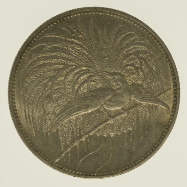proaurum-deutsch_neu_guinea_5_mark_1894_4788_2