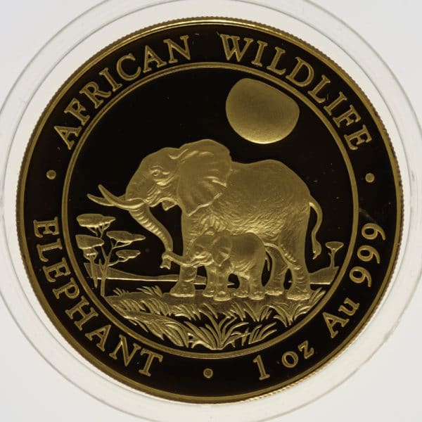 somalia - Somalia African Wildlife 1.000 Shillings 2011 Elephant