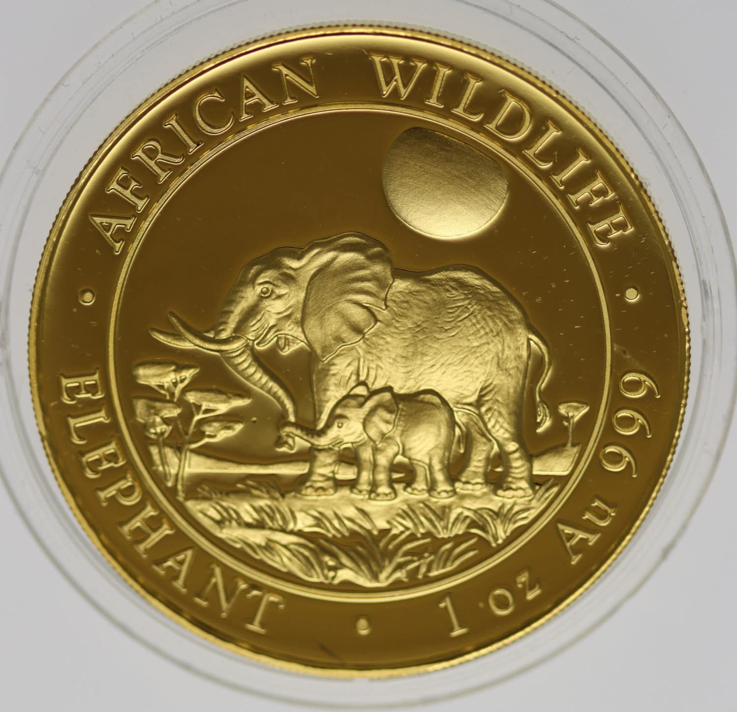 proaurum-somalia_elefant_1000_shillings_2011_7933_4