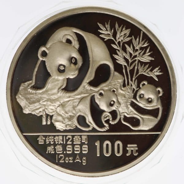 china-silbermuenzen-uebrige-welt - China Panda 12 Unzen 1989