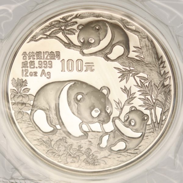 china-silbermuenzen-uebrige-welt - China Panda 100 Yuan 1991 12 Unzen