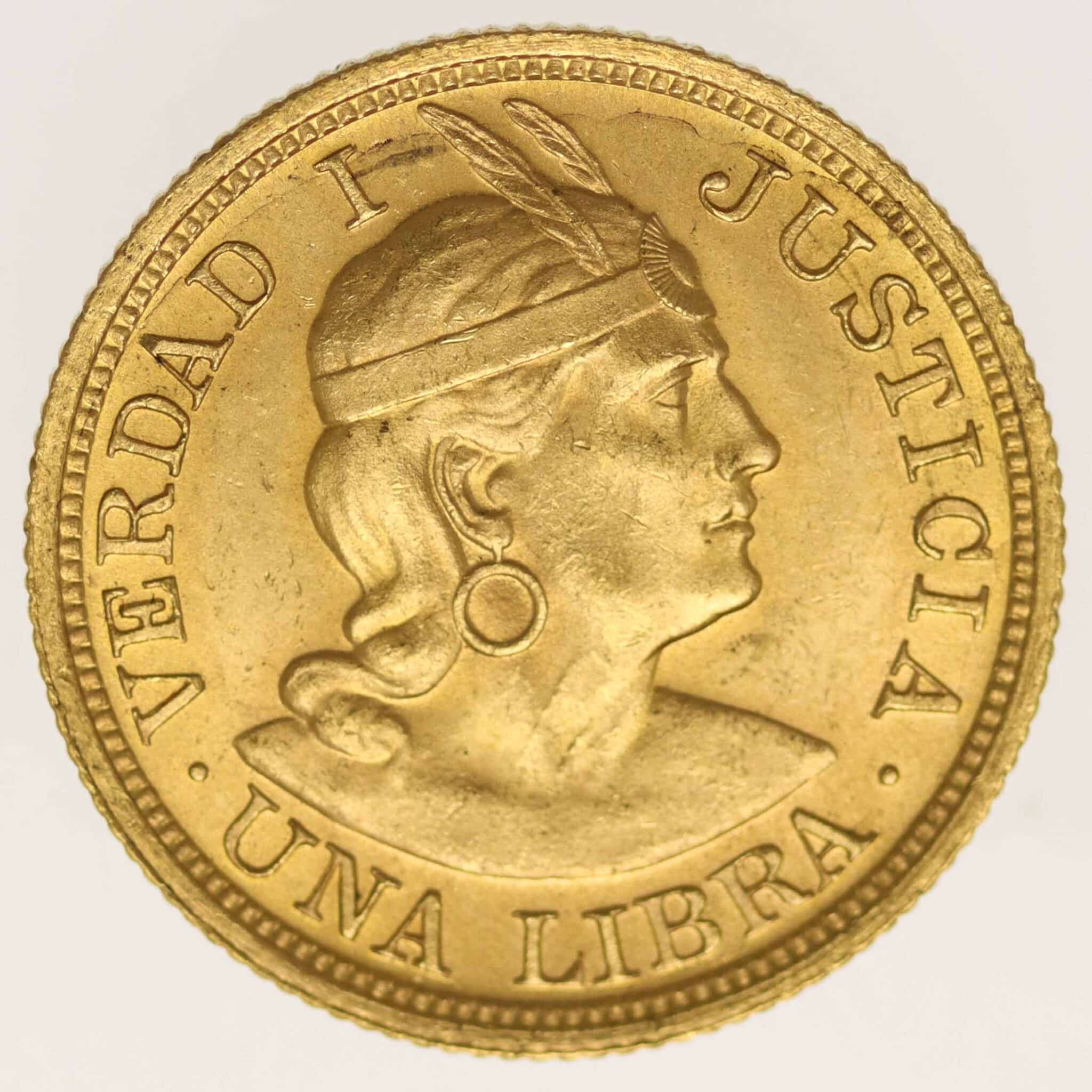 peru - Peru Libra 1920