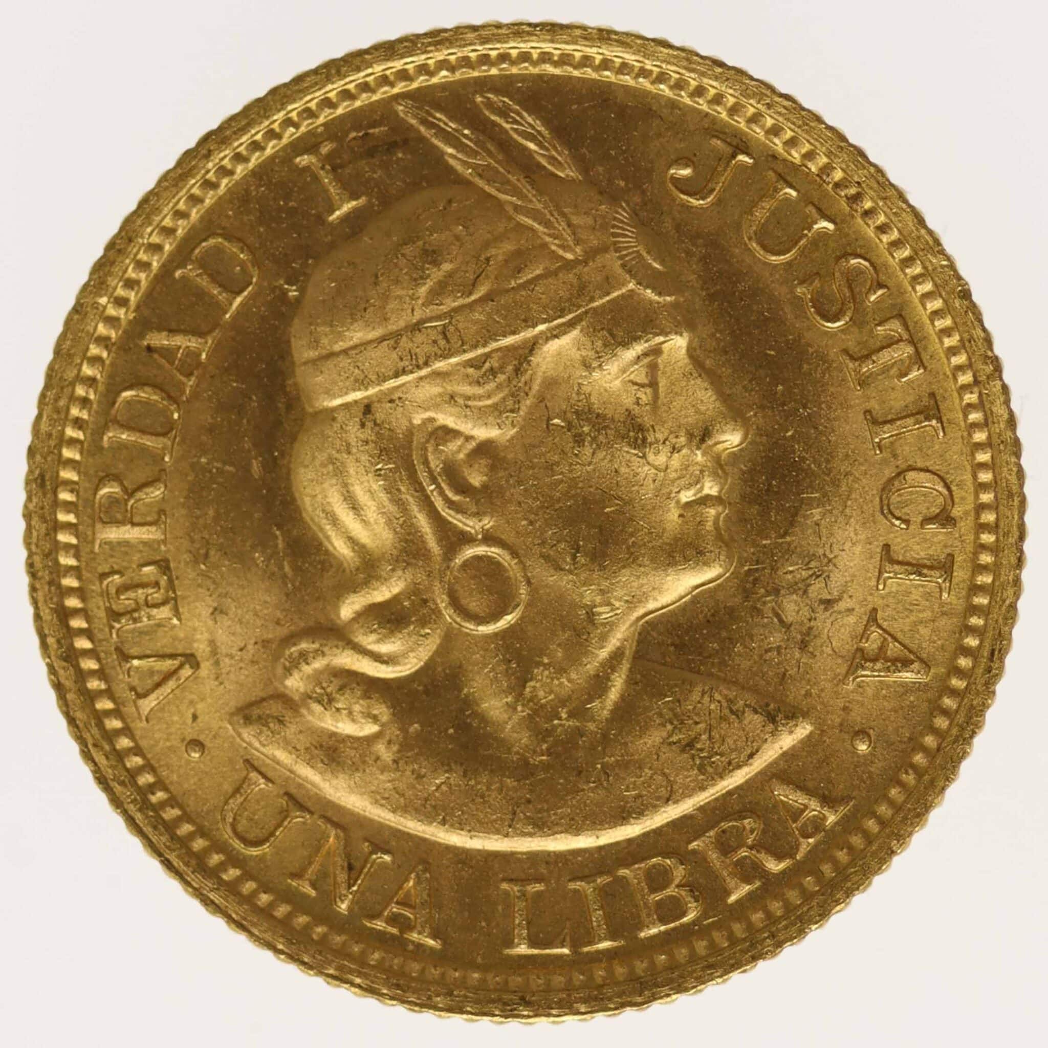 peru - Peru Libra 1920