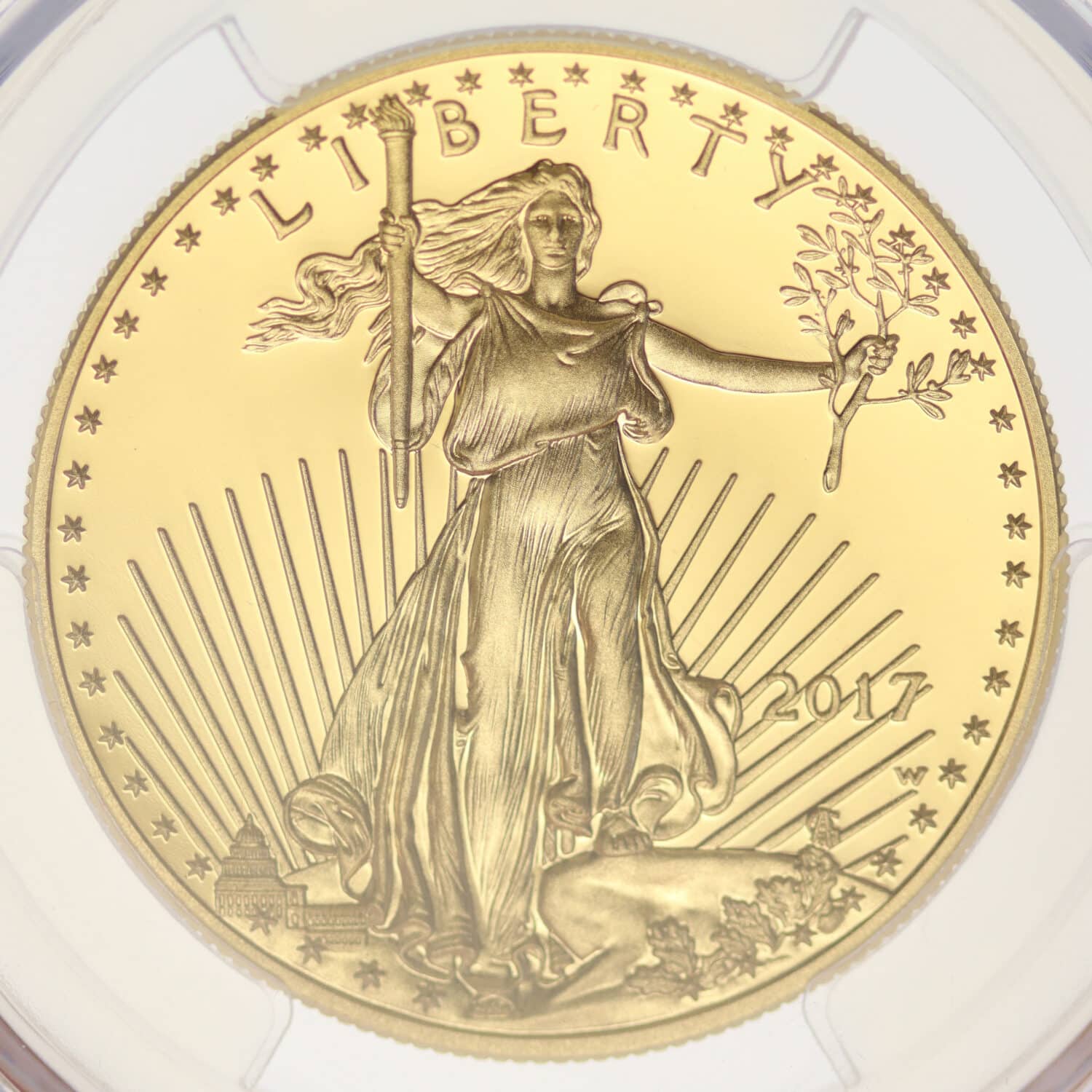 proaurum-usa-american-eagle-50-dollars-2017-14510-5